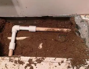 威信测漏水哪家好