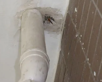 威信漏水检测哪家好